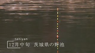 12月中旬  茨城県の野池でまったりバランスの底釣り