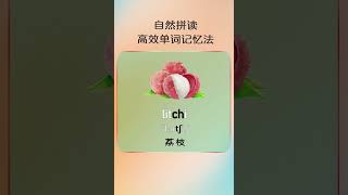 69 父母可以给孩子每天记一个单词，从小积累，以后孩子会感谢您给他（她）储存的惊人词汇量。#零基础学英语 #英语单词 #自然拼读