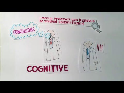 Which of the following are major areas of interest in cognitive psychology?