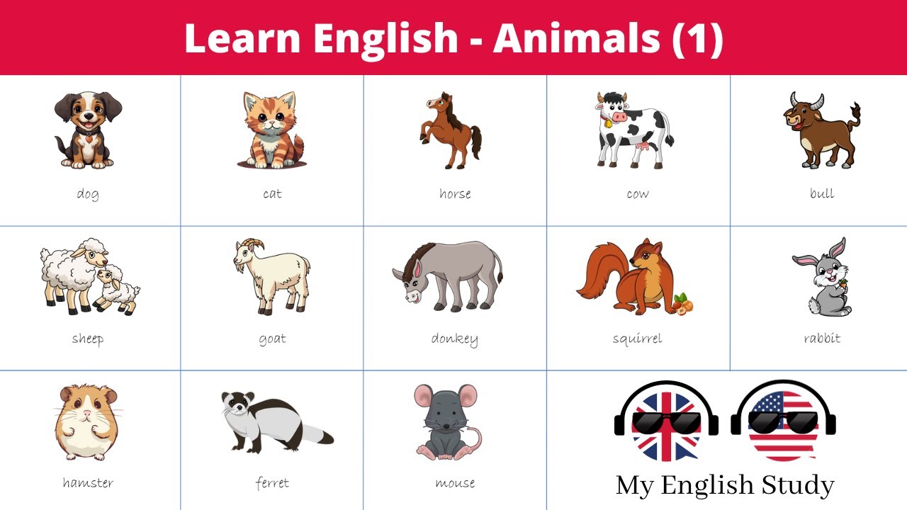 Learn English Vocabulary 41 Animal Names In English ёяжбёяршёяжт Youtube