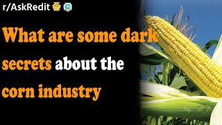 What are some dark secrets about the corn industry/AskReddit Reddit Stories.