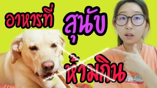 21 อย่าง #อาหารที่สุนัขห้ามกิน อาหารต้องห้ามสำหรับสุนัข Foods that dogs should not eat | Cat story |