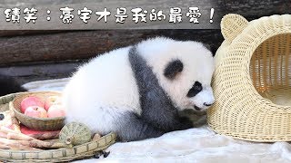 《熊貓早晚安》績笑：豪宅才是我的最愛！ | iPanda熊貓頻道