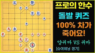 [프로의 한수] 돌발 퀴즈!!! 과연 어떻게 차를 잡을까요? 5수 짜리 (슈이비닝 장기)