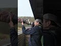 red kites in flight at 120fps wildlifephotography sonya9iii