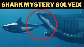 Monster That Devoured 9ft Great White Shark Revealed