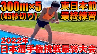 日本選手権出場最後の大会に向けて最終調整！300m×5をやって東日本実業団陸上1500mに挑戦する【陸上】【ラストチャンス】