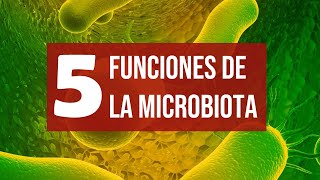 💥 Las 5 funciones MÁS IMPORTANTES de la Microbiota para nuestra Salud - Dra. Dolores de la Puerta