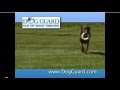 Dog Guard Out Of Sight Pet Fence