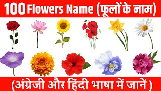 100 Flowers Name ! Flowers Name in English and Hindi ! फूलों के नाम अंग्रेजी और हिंदी में