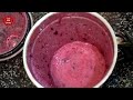 கருப்பு திராட்சை ஜூஸ் செய்வது எப்படி how to make grape juice tamil food masala