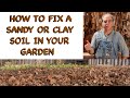 How to Fix a Sandy or Clay Soil in Your Garden - FHC Q & A