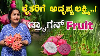 ಅದೃಷ್ಟ ಲಕ್ಷ್ಮಿ ಡ್ರ್ಯಾಗನ್  Fruit ಬೆಳೆಯುವುದು ಹೇಗೆ ?