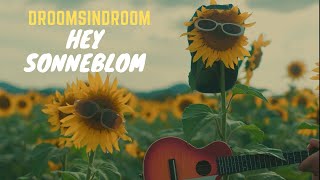 Hey Sonneblom - Droomsindroom