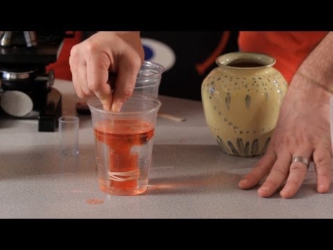 How to Make an Underwater Volcano | Science Projects How to Make an Underwater Volcano | Science Projects