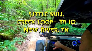 Little Bull Creek Loop Trail 10  New River TWRA Tennessee