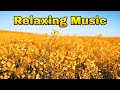 Relaxing Music - In Memory of Jean Talon (Audio Time)