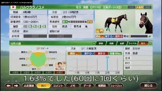 ウイニングポスト９ 2022　３３　ハルウララの１１番仔もスピードG(生まれた時５０)　２年連続Gだけどどうする？