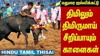 🔴LIVE: மதுரை  ஜல்லிக்கட்டு | திமிலும் திமிருமாய் சீறிப்பாயும் காளைகள் |#jallikattu #jallikattukalai