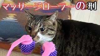 猫用マッサージローラーを使ってみた♪