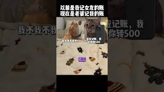 以前是我记女友的帐，现在是老婆记我的帐… 猫咪 猫meme 情侣 搞笑 内容过于真实