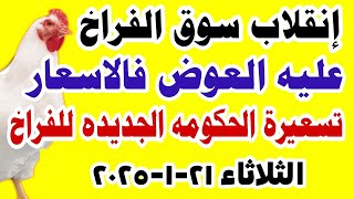 اسعار الفراخ البيضاء اليوم/ سعر الفراخ البيضاء اليوم الثلاثاء 21-1-2025 في مصر جمله وقطاعي