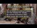 dangers of mold after a flood