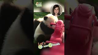 【5-Second Chinese】Learn Vocabularies Of Different Weather In Chinese With Pandas