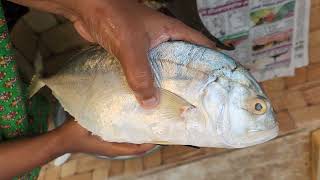 இப்படி. பாறை மீன் கழுவி பாருங்க சூப்பராக இருக்கும் clean big fish lobster cleaning.#bigfishcutting