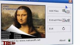 RE: steganography