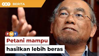 Kita ada kemampuan keluar lebih banyak beras, kata ahli ekonomi