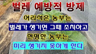 [텃밭농부 1,435]  벌레 예방적 방제. 어리석은 농부는 벌레가 생기면 그때 조치한다.