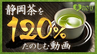 静岡茶 を１２０％ たのしむ動画。葵わさびと 静岡茶 を飲もう！！