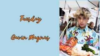 Gavin Magnus - Tuesday Official Lyrics