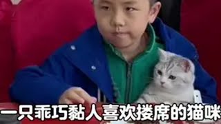 一只乖巧黏人喜欢跟着小孩哥搂席的猫咪，总有些小生命是为了治愈彼此而来小猫治愈世界 这小猫谁养谁不迷糊啊 小猫是平淡生活的解药