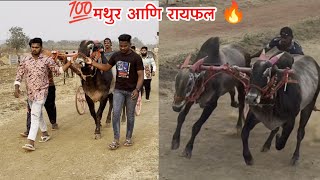 👑मथुर आणि रायफल 🔥 तुफानी फेरा 🦅#१००१ #मथुर1001 #रायफल