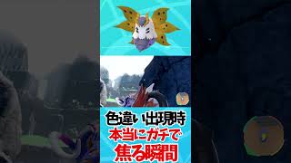 【ポケモンSV】色違いポケモン出現時に本当にガチで焦る瞬間ｗｗｗｗｗｗ【ポケモンバイオレットスカーレット】