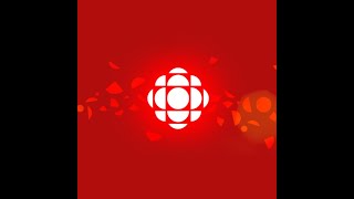 CBC Windsor News at 6: Nov. 20, 2024