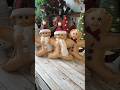 Handmade gingerbread men for Christmas ❤️🎄 #handmadechristmasdecorations #diycraftideas