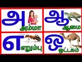 Uyir Ezhuthukal | Learn Tamil Alphabets/அ அம்மா 🤱 ஆ ஆடு 🐐 || அ ஆ இ ஈ   / உயிர் எழுத்துக்கள் /@prinit