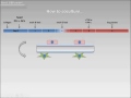 How do AQP4 antibodies access the CNS of NMO patients?