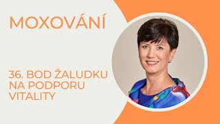 Tajemství dlouhého života je v moxování 36. bodu žaludku v období dubna