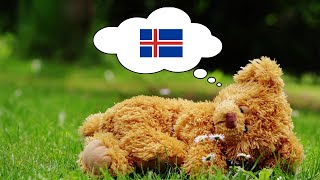 Learn Icelandic While You Sleep - 1000 Important Icelandic Words & Phrases