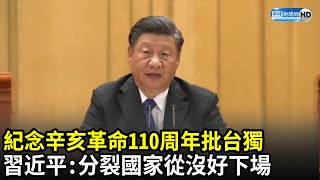 紀念辛亥革命110周年　習近平痛批台獨：分裂國家從沒好下場｜中時新聞網