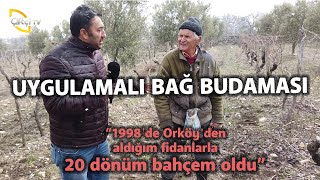 Uygulamalı Bağ Budaması - Maksat Üretmek