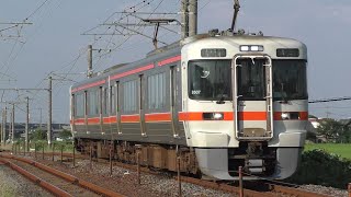 313系1300番台 海シンB507編成 ワンマン亀山行 永和～弥富通過