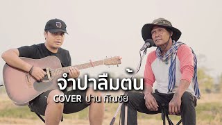 จำปาลืมต้น -  น้าปาน กัณชัย [ACOUSTIC LIVE SESSION COVER]