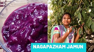 Nagapazham Jamun