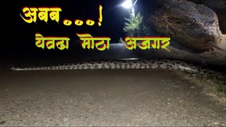 अजगर | महाराष्ट्रातील रायगड जिल्यात दिसला सर्वात मोठा अजगर #snake #anakonda