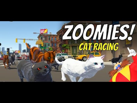 The Secret Life Of Cats Youtube